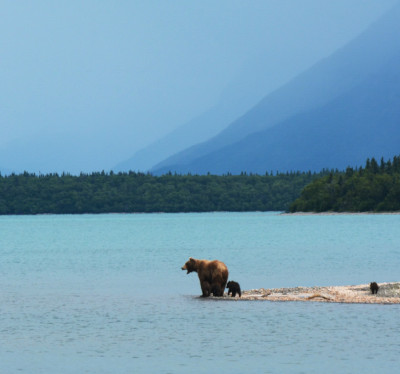 Toronto to Anchorage flights
