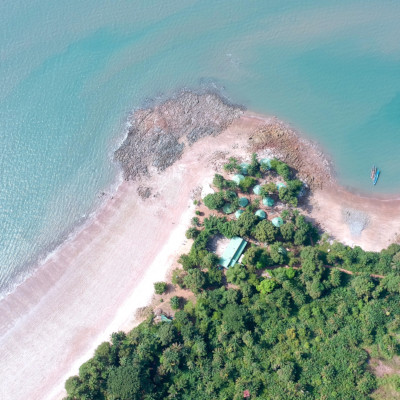 Montreal to Conakry flights