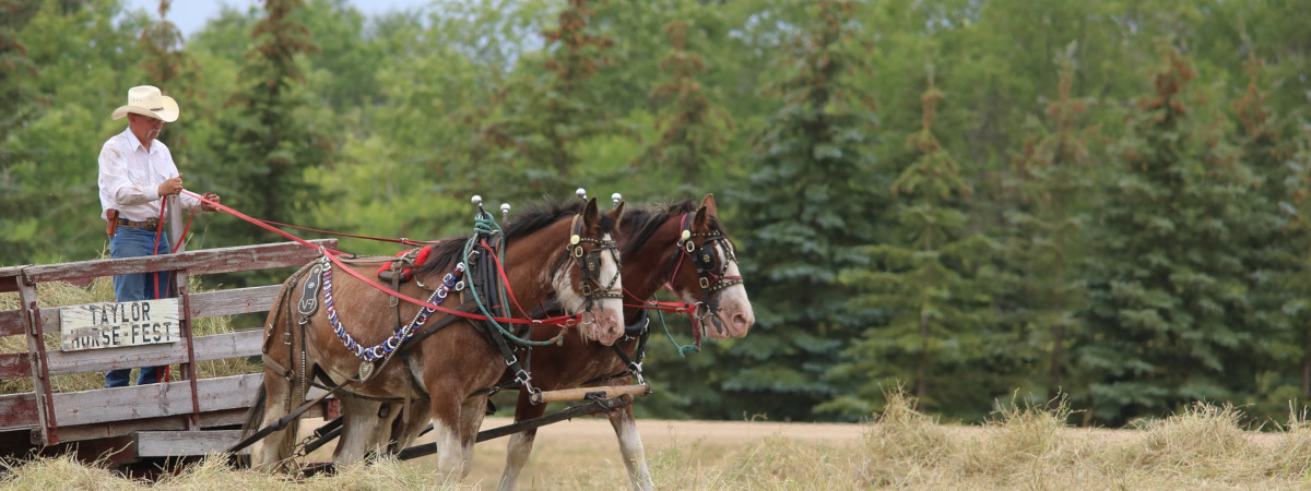 Vols aller-retour Chicago - Fargo pour 107$