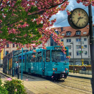 New York to Frankfurt flights