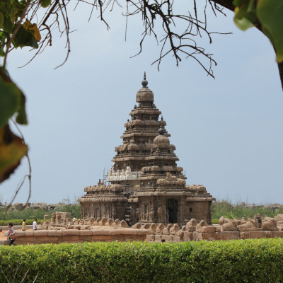 Montreal to Chennai flights