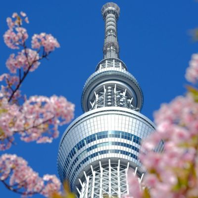 Vancouver to Tokyo flights
