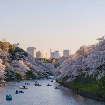 Honolulu to Tokyo flights