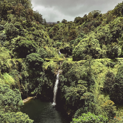Calgary to Maui flights