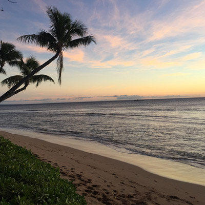 Vols Los Angeles à Maui