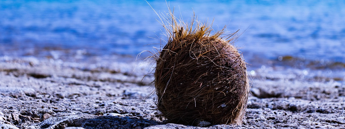 Roundtrip flight Montreal - Okinawa for $905