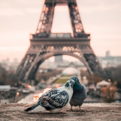 Vols Québec Paris