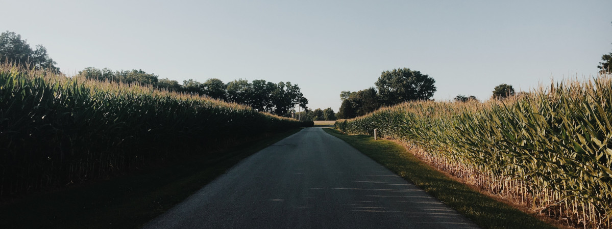 Roundtrip flight Montreal - Louisville for $375