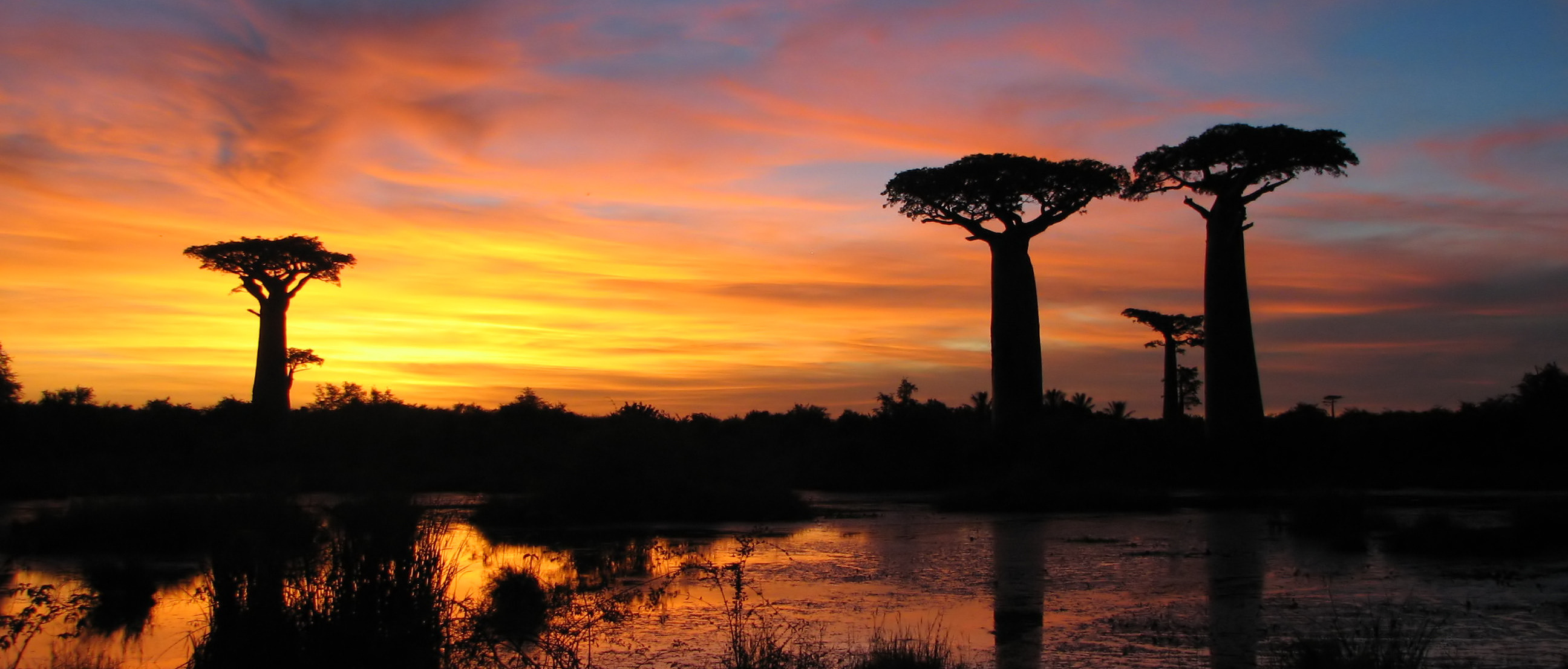 Vols aller-retour Paris - Madagascar pour 590€