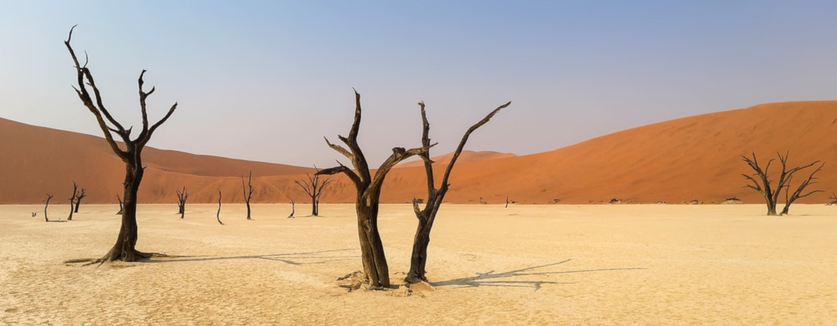 Roundtrip flight New York - Namibia for $880