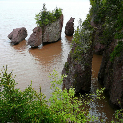 Toronto to Saint John flights