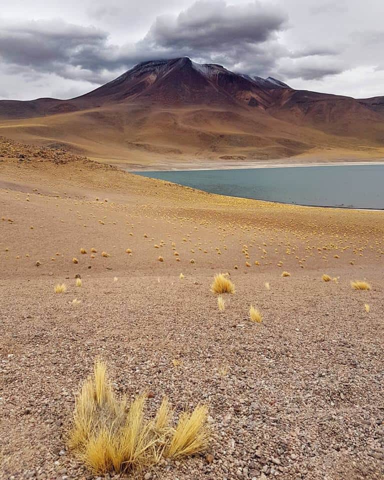 Le lac et le volcan Miñiques au nord du Chili