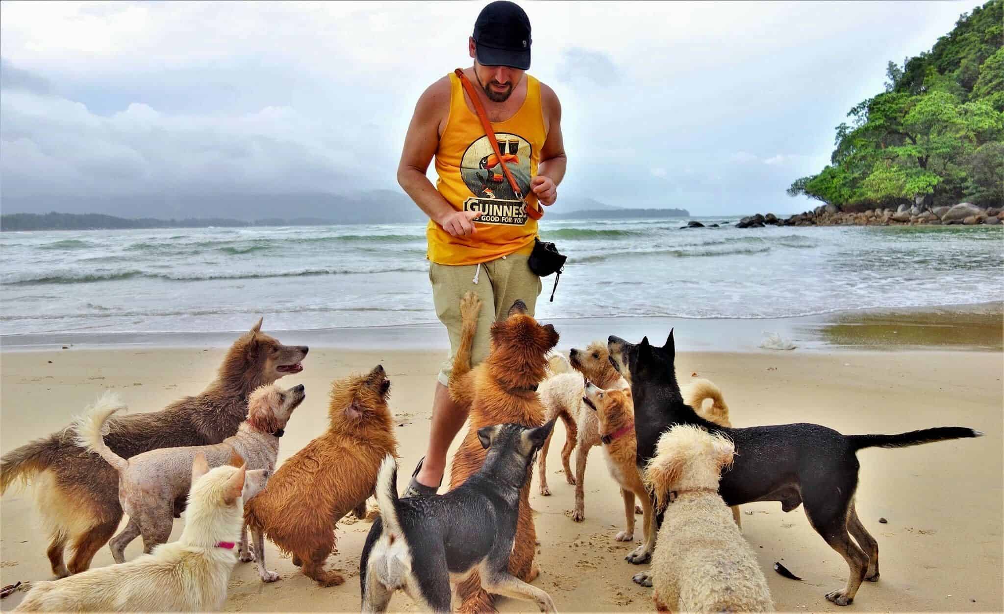 You are currently viewing Faire ‘fitter’ 15 chiens dans un char en Thaïlande ou comment j’ai concilié mon âme d’aventurier et ma passion pour les canidés