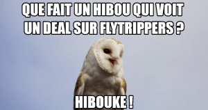 Read more about the article Hibou qui voyage: «meme» de la semaine