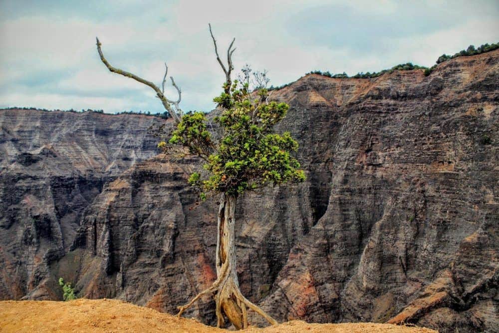 kauai best hikes