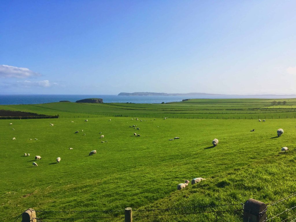 Ballintoy