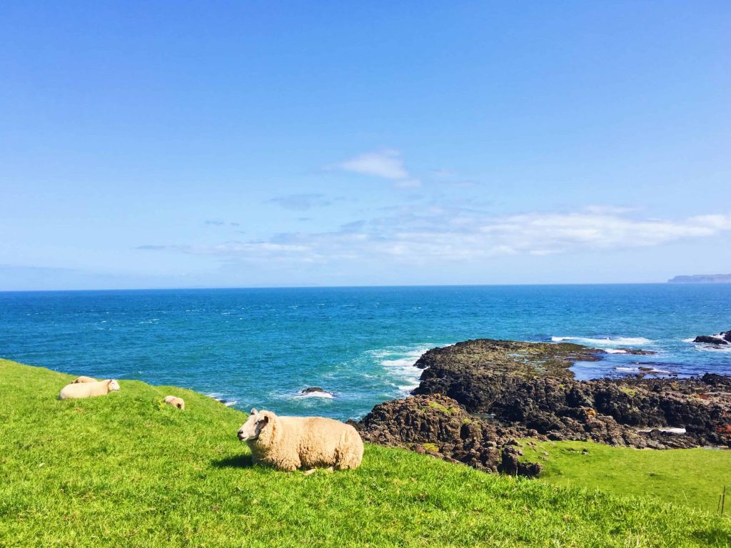 Causeway Coast Way