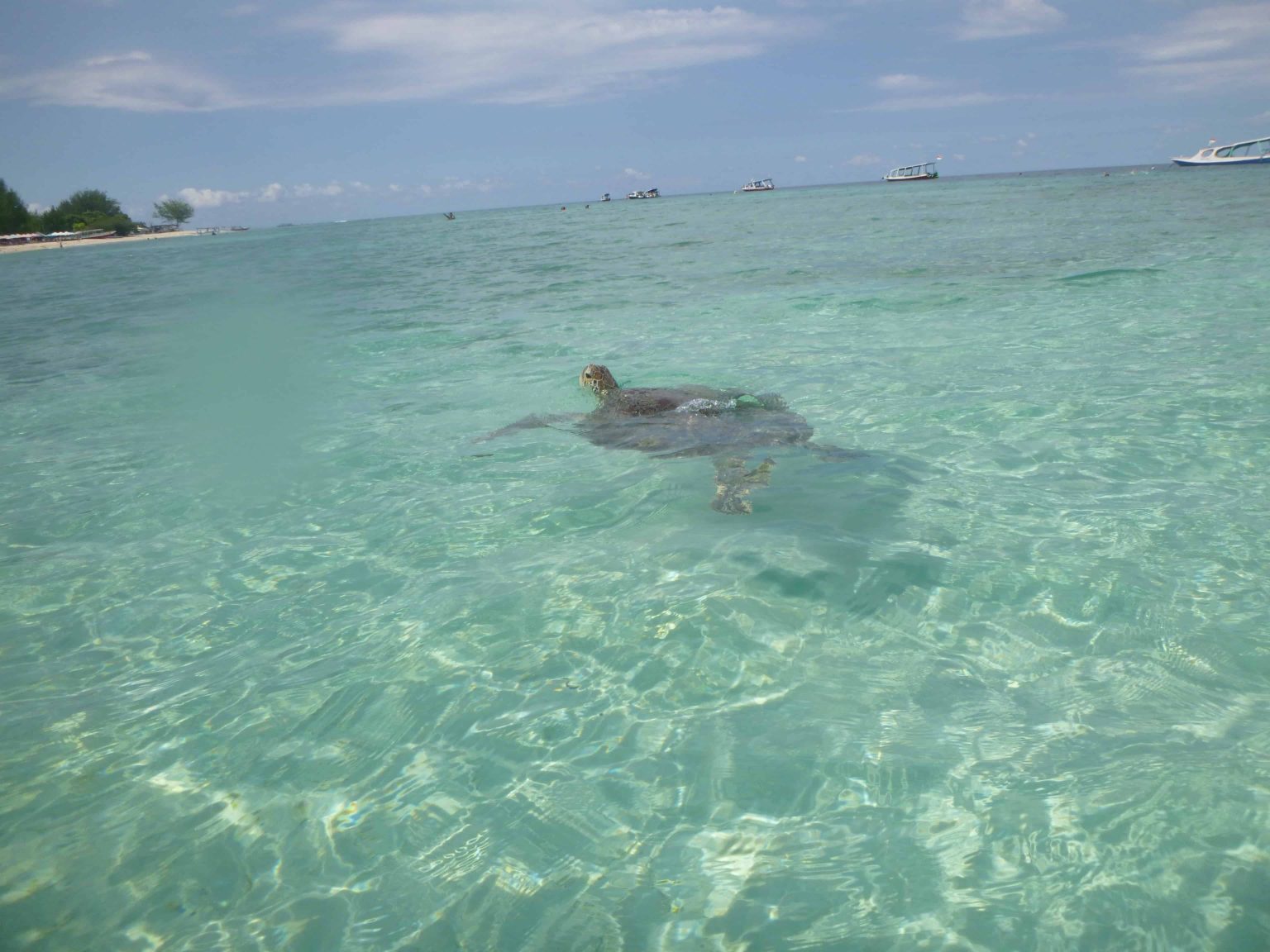 3 raisons de visiter Gili Trawangan une jolie le pr s de 