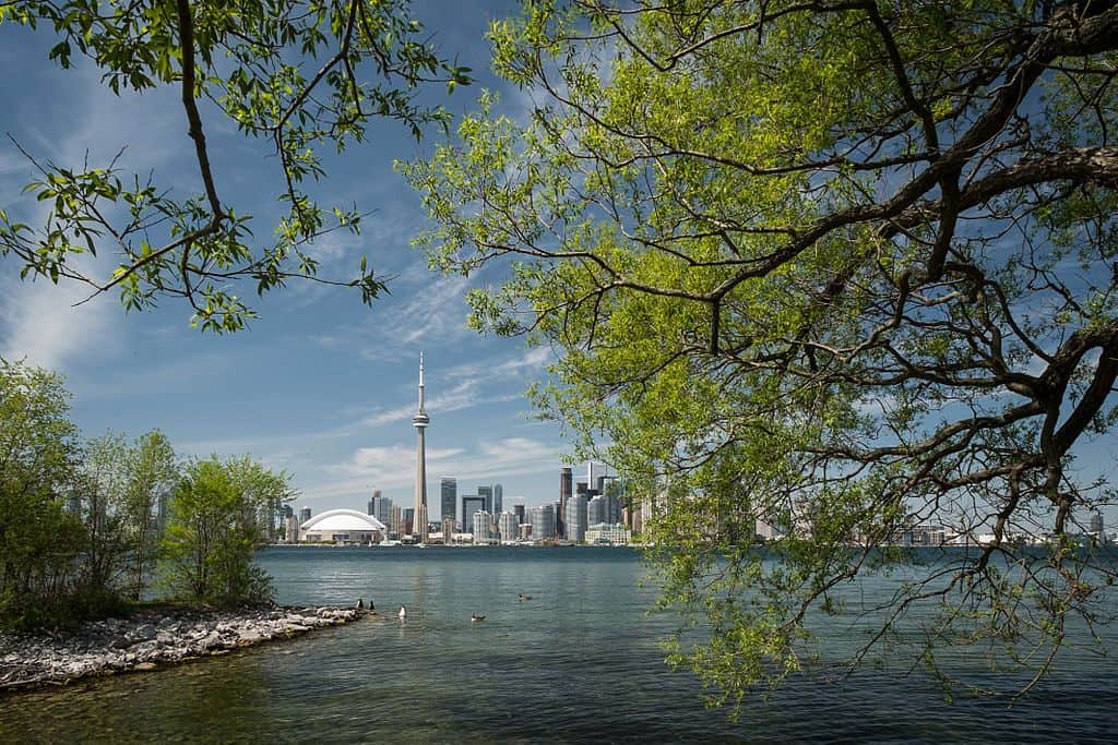 Toronto islands