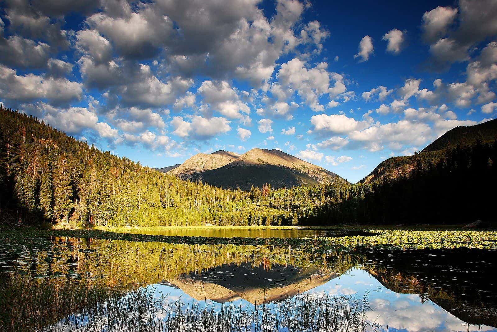 most visited US National Parks