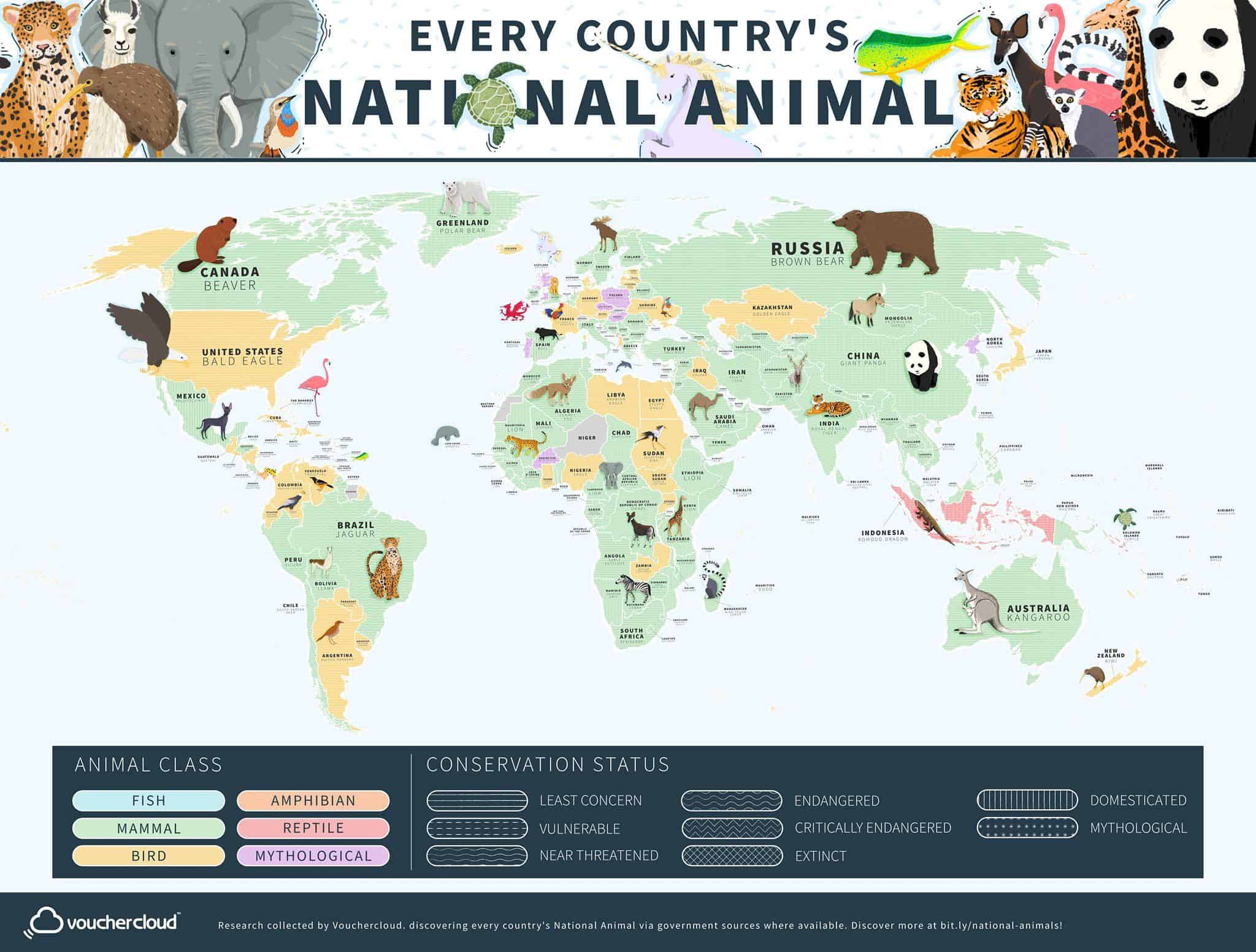 Every Country's National Animal On One Cool Map - Flytrippers