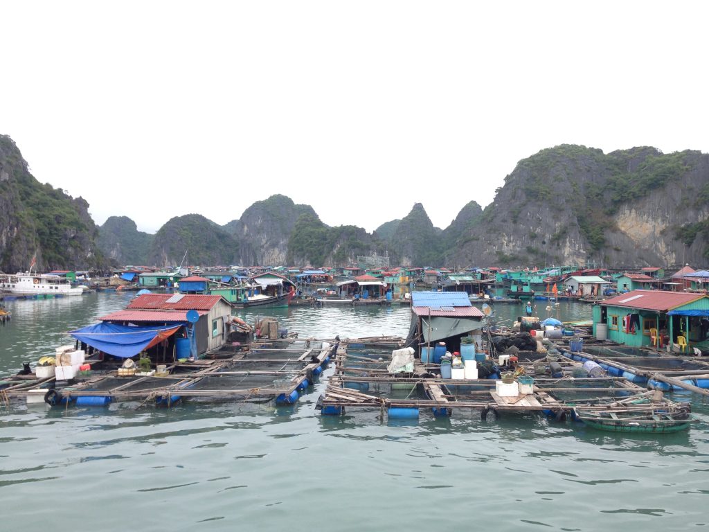 Habitations sur l'eau, Baie d'Halong
