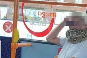 Read more about the article Man Uses A Live Snake As A Face Mask On The Bus
