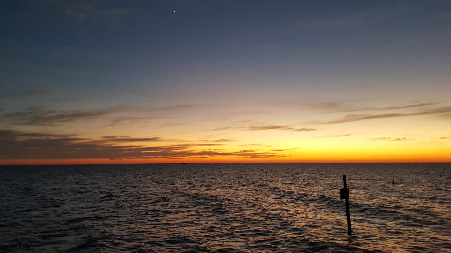 FLORIDA main image 1