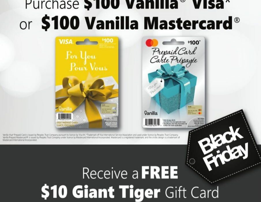 $100 Vanilla Visa Gift Card + $5.95 Fee