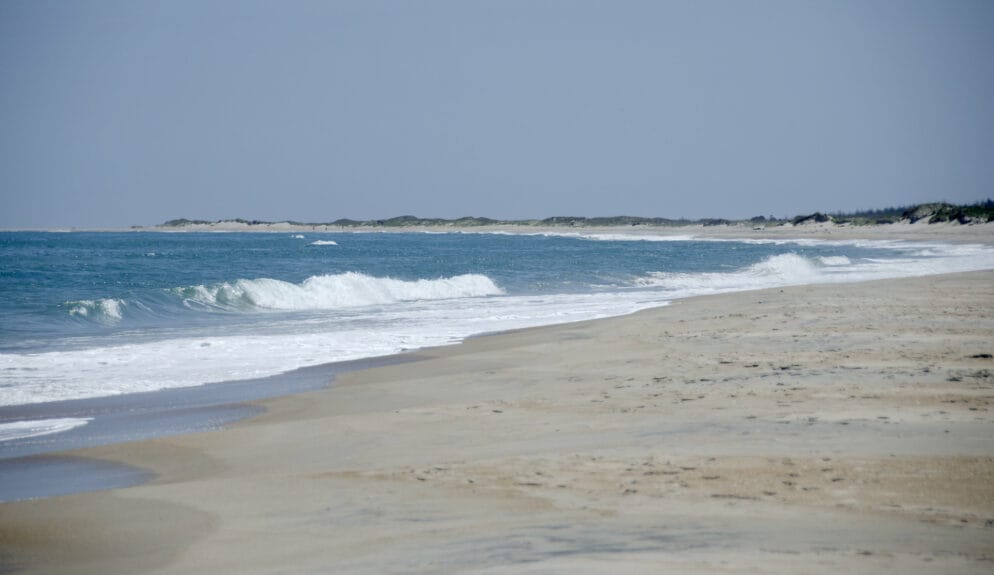 plage cape lookout national seashore