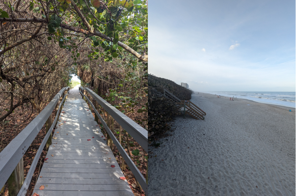 My car rental for 93 instead of 191 in Florida Flytrippers