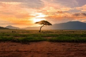 Africa’s 5 different regions: introduction to this extremely exotic continent