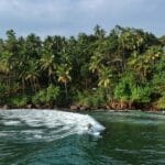Personne qui surf une vague avec près d'une plage de palmier