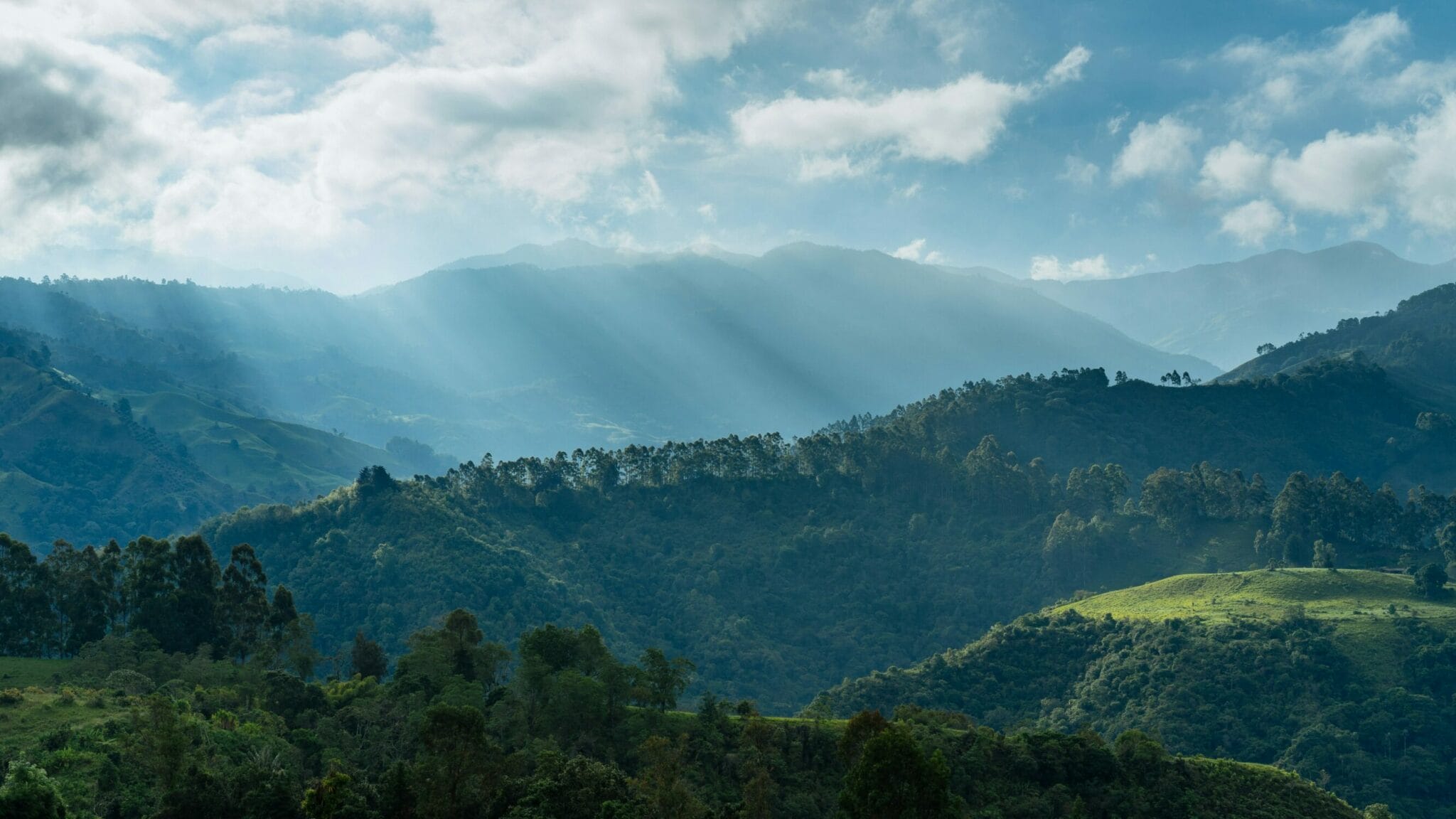 The 17 megadiverse countries: where there's the greatest biodiversity ...