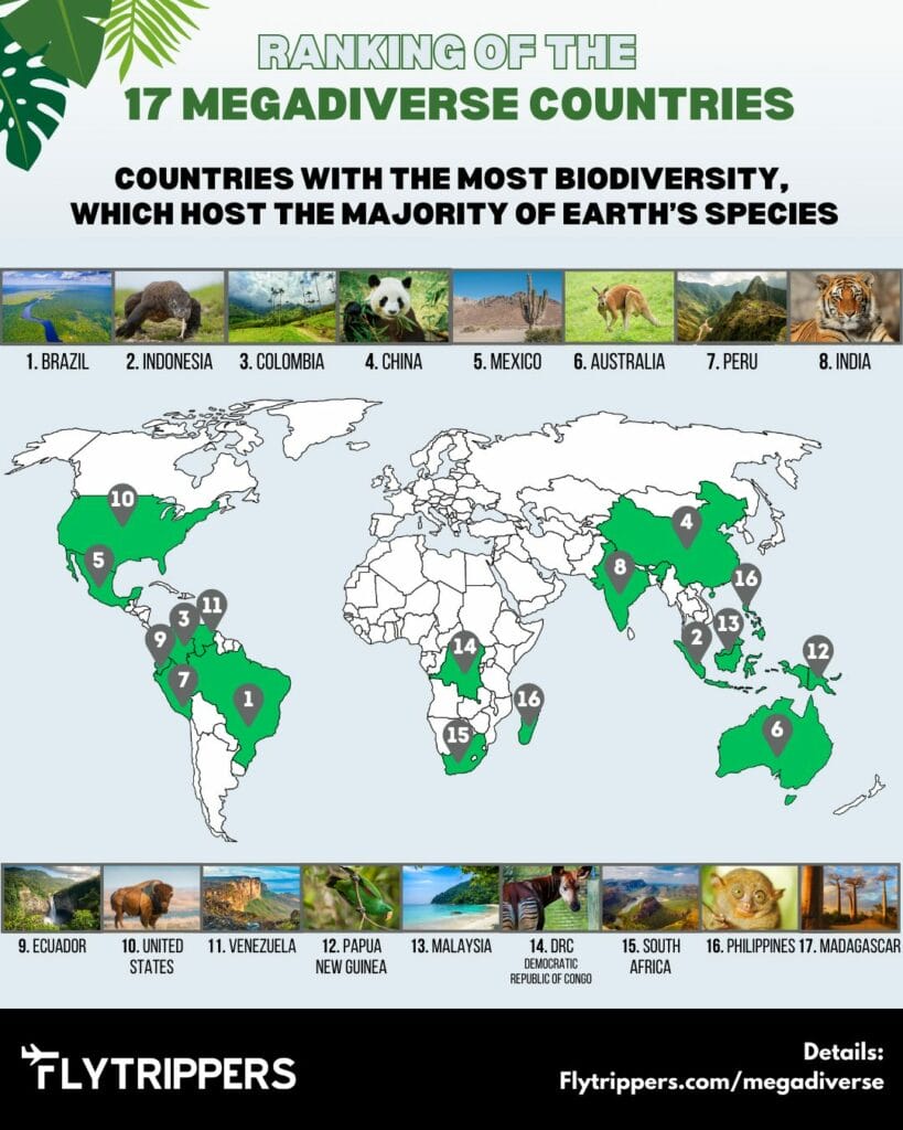 The 17 megadiverse countries: where there's the greatest biodiversity ...