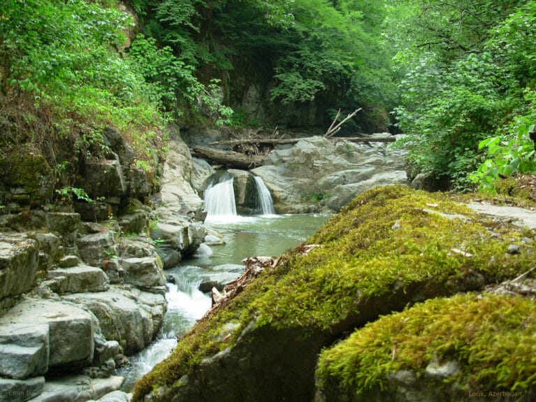 A river inside a Hyrcanian Forests in Azerbaijan.