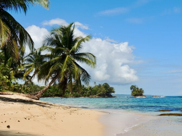 A beach with palm trees on the side in Bocas del Toro, Panama.