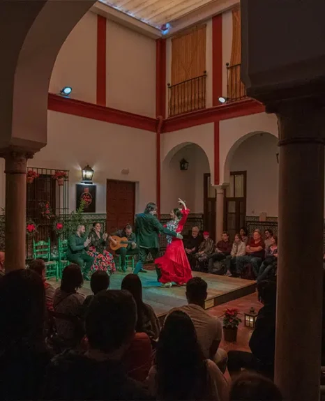 A view of a Flamenco show in La Casa del Flamenco in Sevilla, Spain.