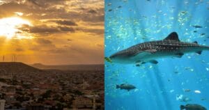 Introduction: My current trip to the Horn of Africa (Somalia, Somaliland, Djibouti, Ethiopia)