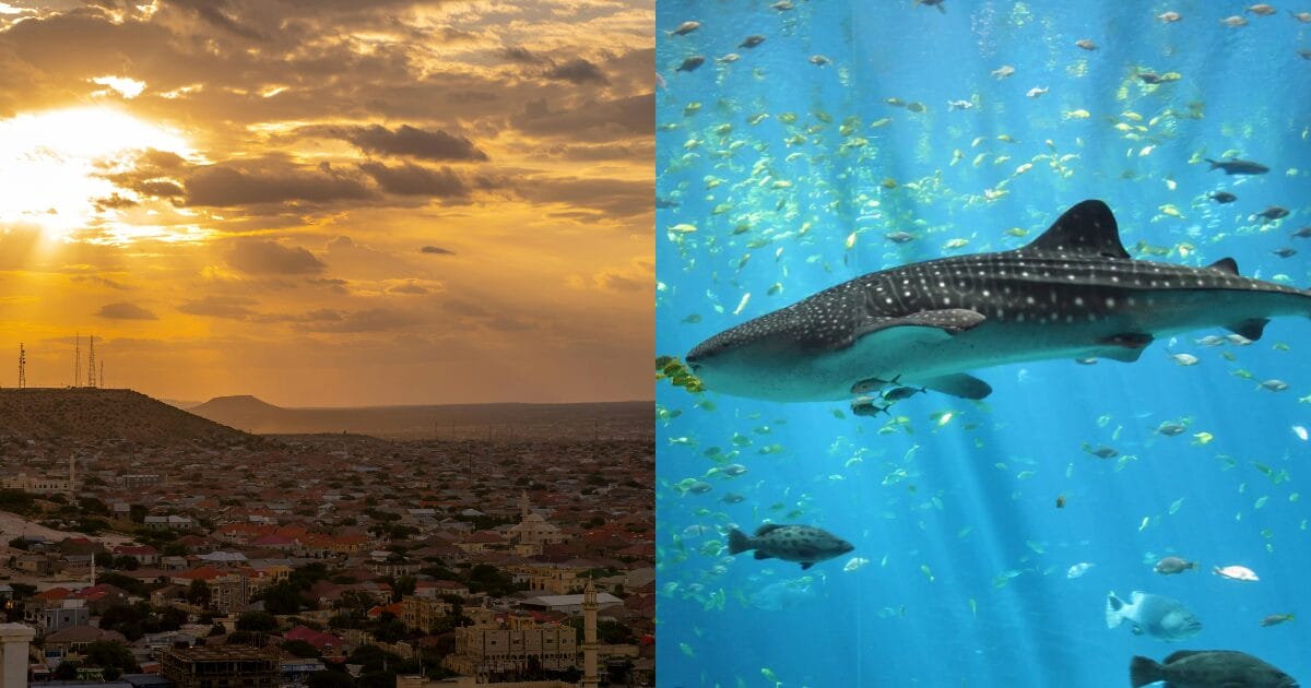 You are currently viewing Introduction: My current trip to the Horn of Africa (Somalia, Somaliland, Djibouti, Ethiopia)