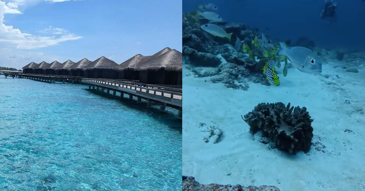 You are currently viewing Overview of my trip to the Maldives
